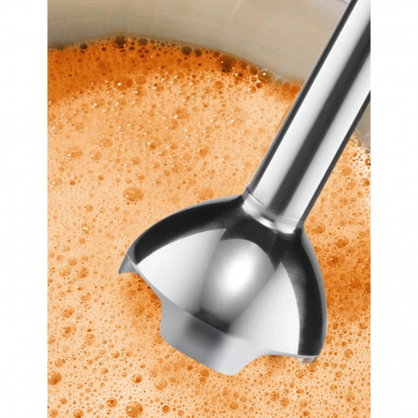 Varinha BOSCH MSM2620B - 600 W