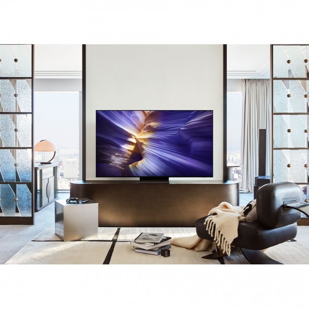 TV SAMSUNG TQ65S90FAEX 65" OLED 4K Ultra HD Smart TV