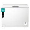 Arca Horizontal HISENSE FT386D4AWLYE - 297LTS
